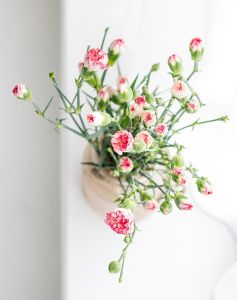 funeraria belo horizonte