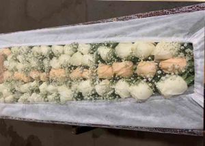 funeraria belo horizonte
